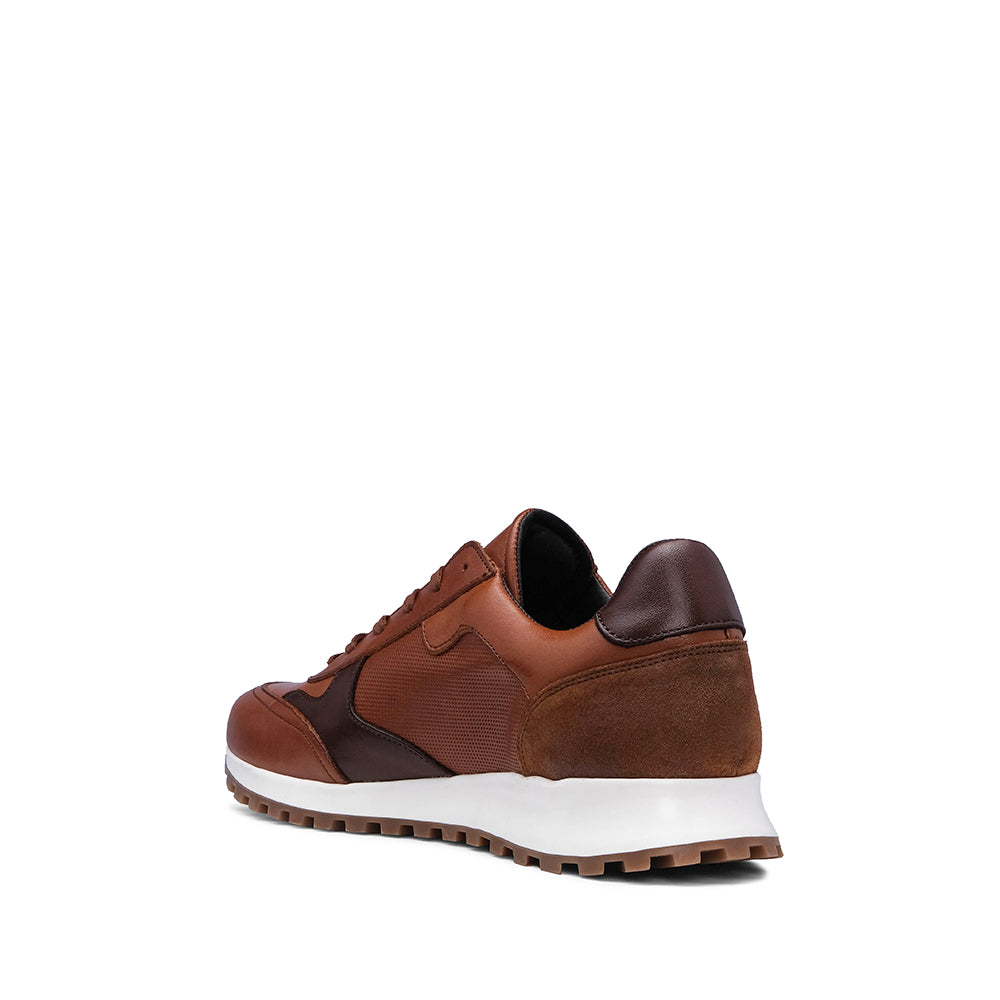 Sapatilha Casual Homem Pele Camel
