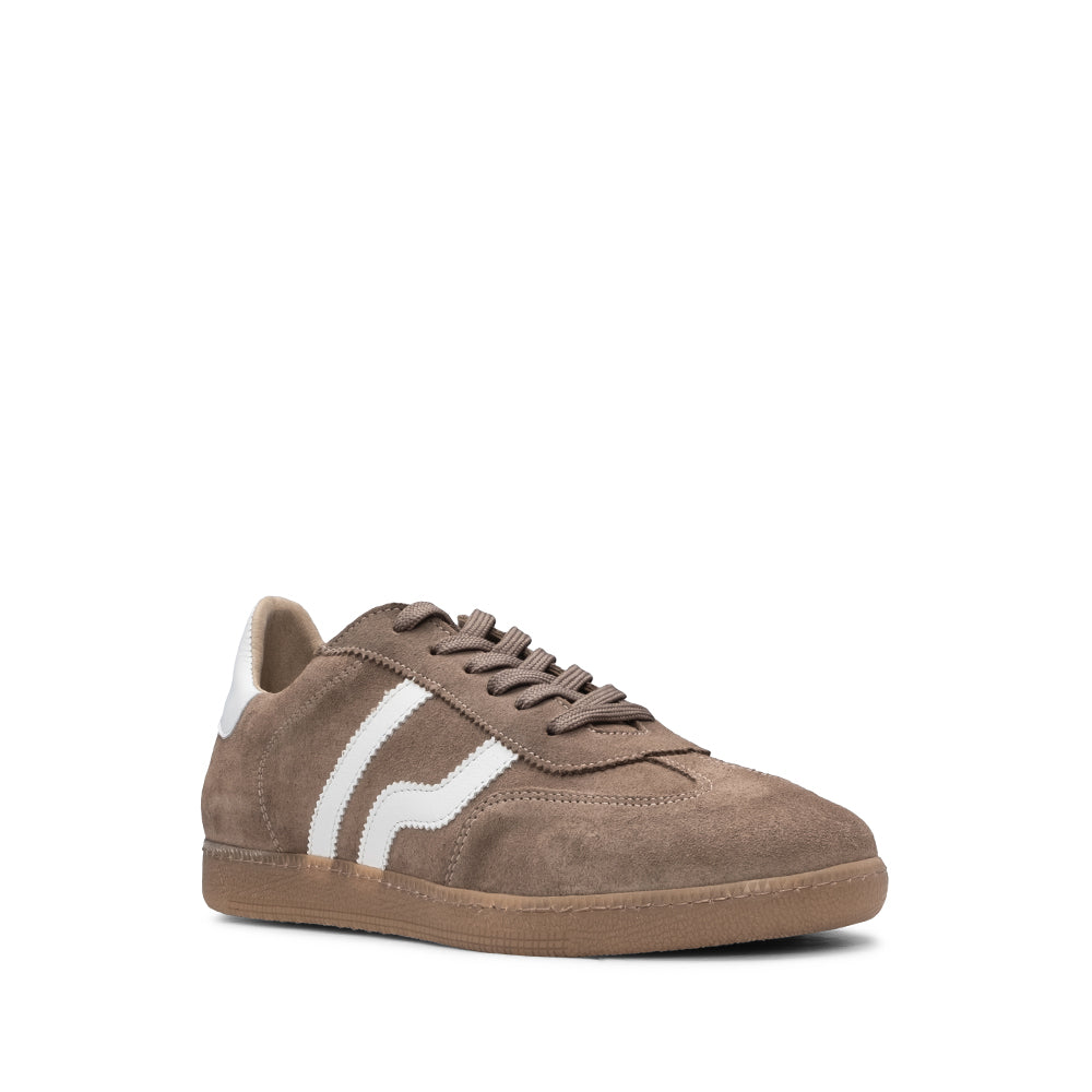 Sapatilha Casual Homem Camurça Taupe