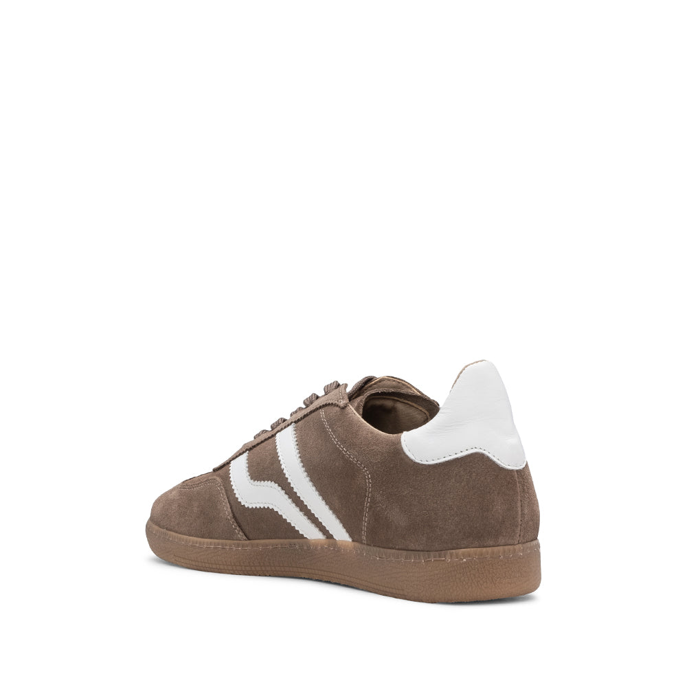 Sapatilha Casual Homem Camurça Taupe