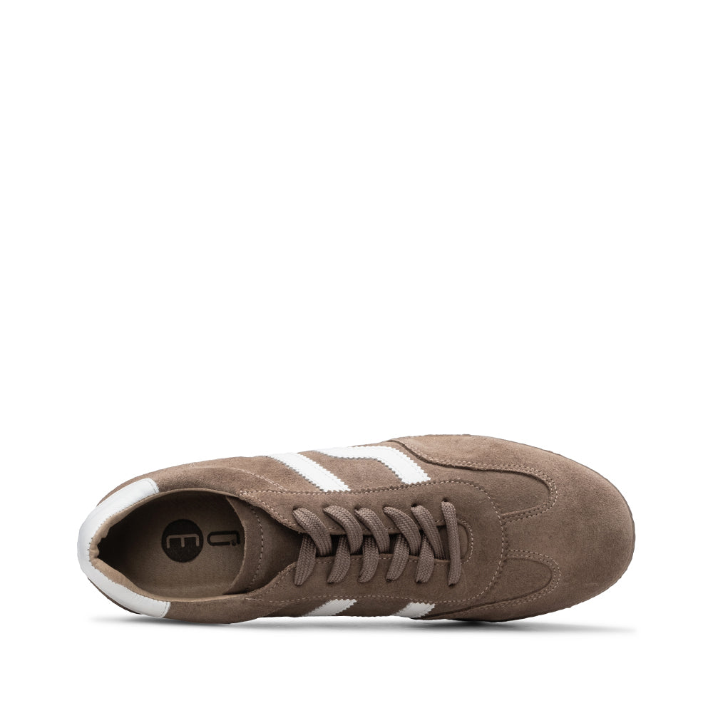 Sapatilha Casual Homem Camurça Taupe
