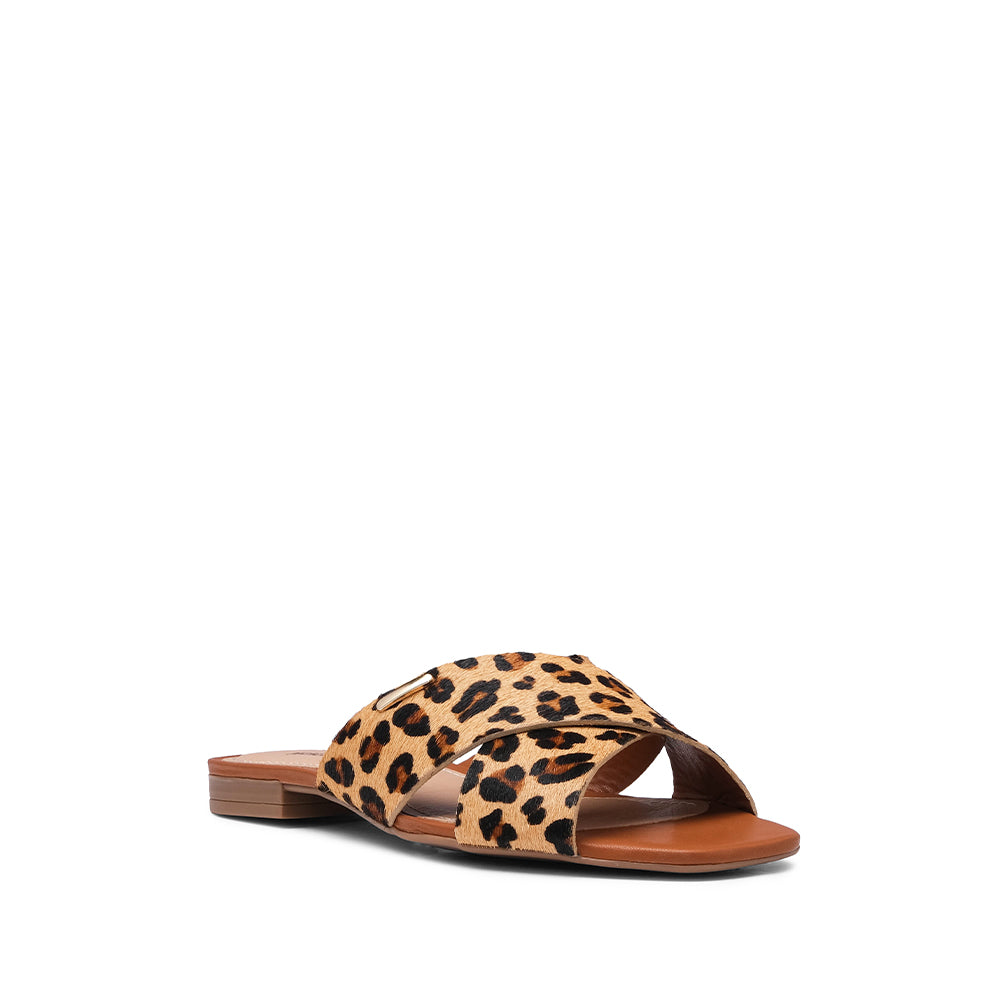 Chinelo Salto Raso Mulher Pele Sintética Leopardo