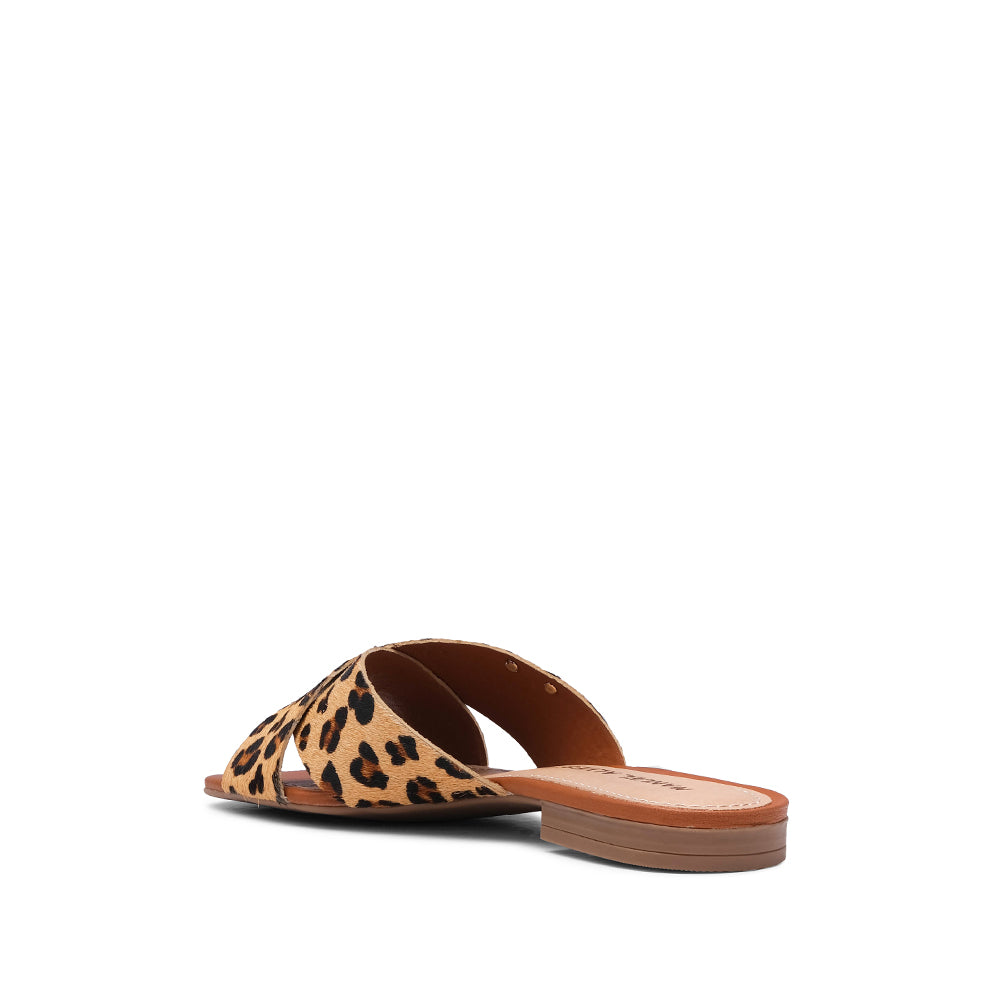 Chinelo Salto Raso Mulher Pele Sintética Leopardo