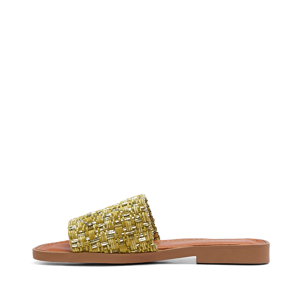 Chinelo Salto Raso Mulher Pele Verde