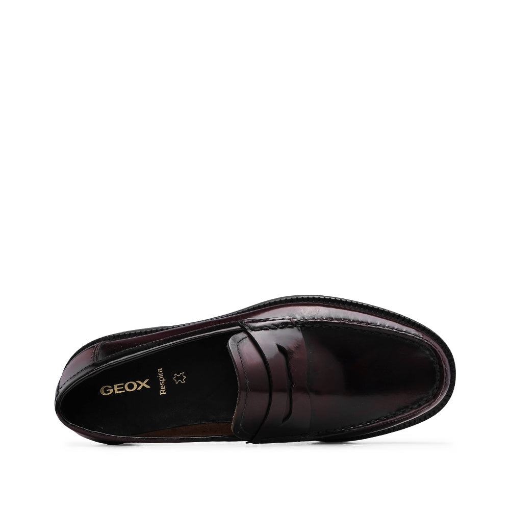 Sapato Mocassim Homem Polido Bordeaux