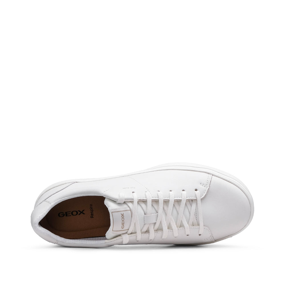 Sapatilha Casual Homem Pele Branco