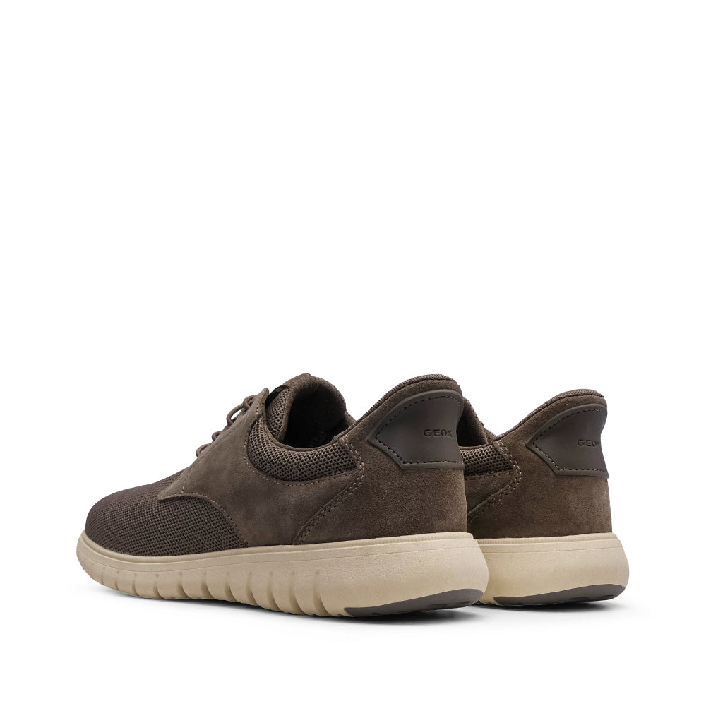Sapatilha Casual Homem Taupe