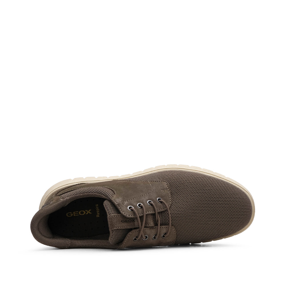 Sapatilha Casual Homem Taupe
