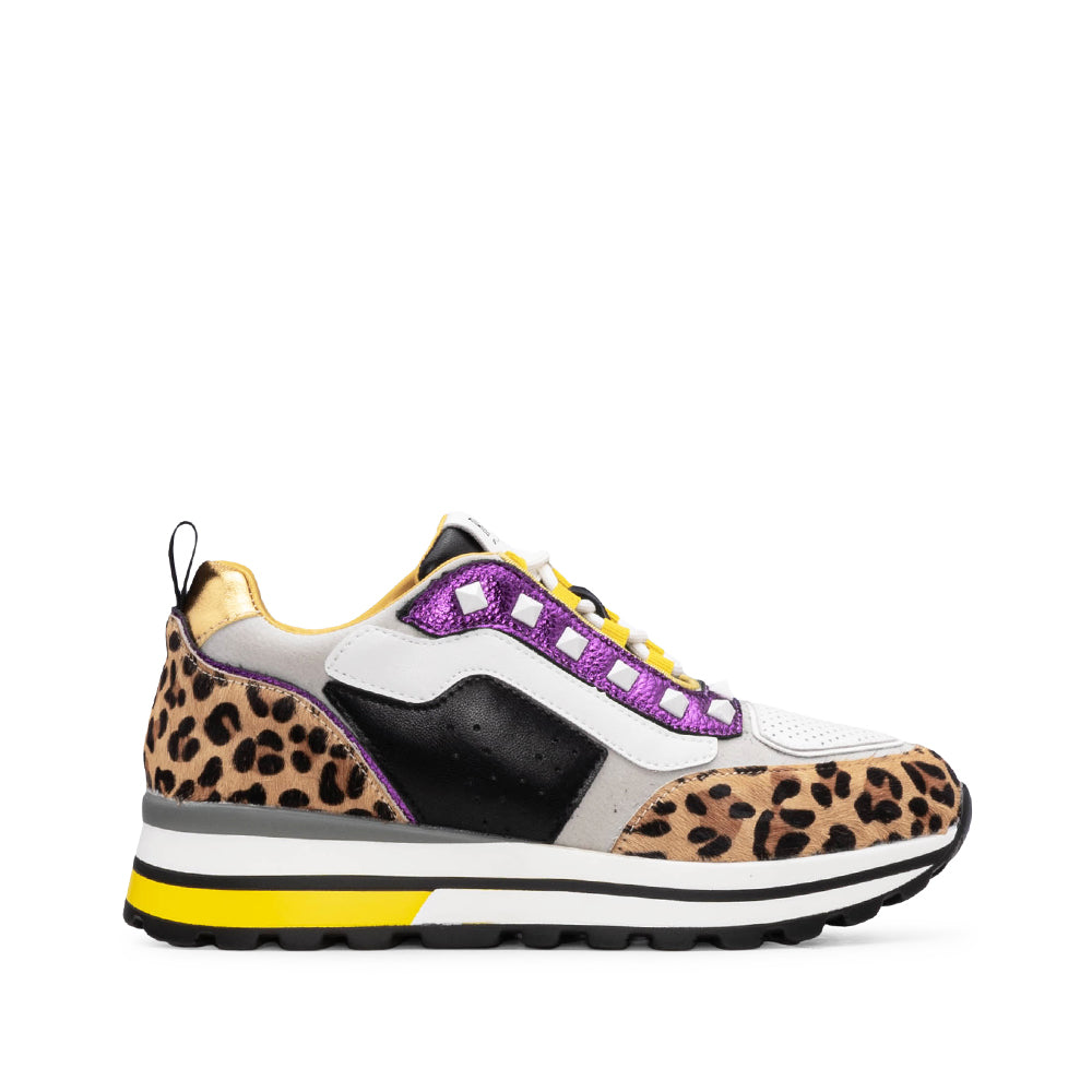 Sapatilha Casual Mulher Multicolor