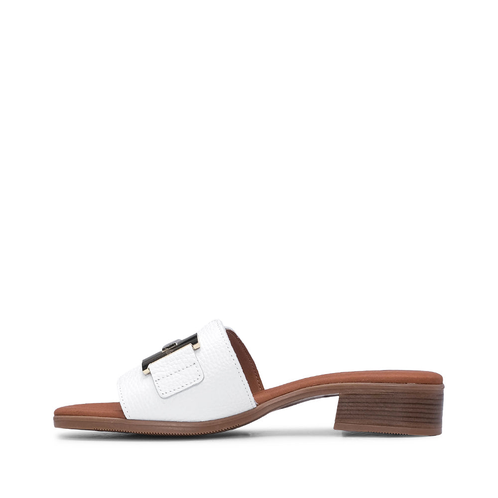 Chinelo Casual Mulher Pele Branco
