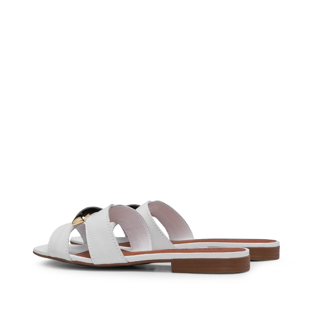 Chinelo Salto Raso Mulher Pele Branco