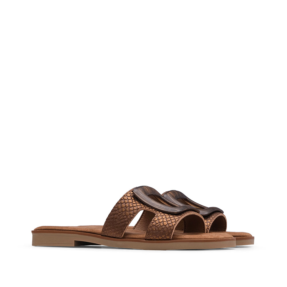 Chinelo Casual Mulher Castanho