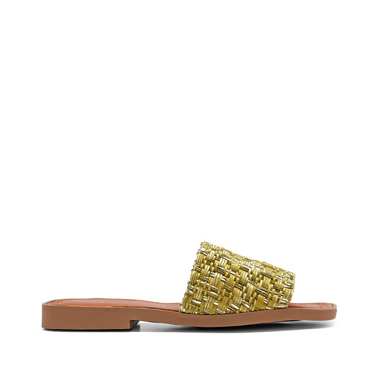 Chinelo Salto Raso Mulher Pele Verde