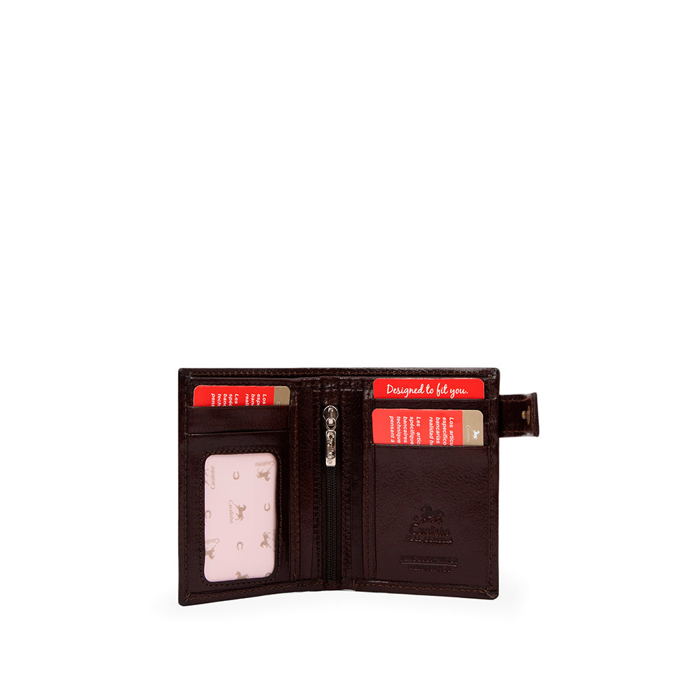 Carteira Homem Pele   Castanho