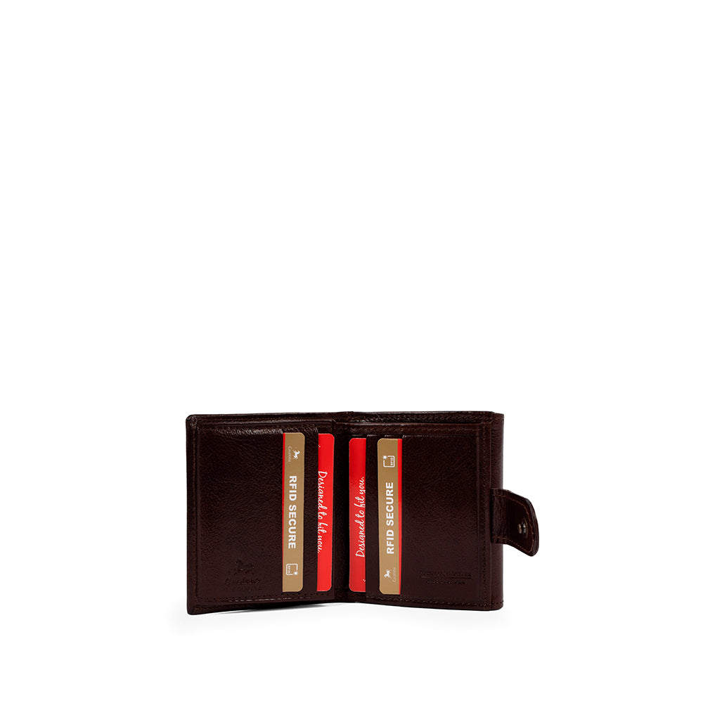 Carteira Homem Pele Castanho